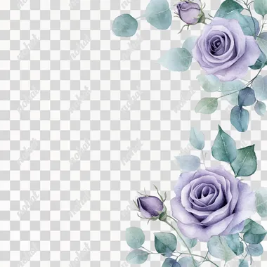 Delicate Lavender Roses with Eucalyptus Watercolor Border