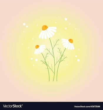 delicate pink wallpaper with daisies