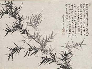 delicate sprigs of bamboo extending | Free Photo - rawpixel
