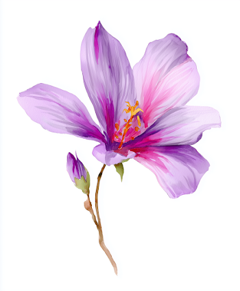 Delicate Watercolor Flower in Violet and Pink