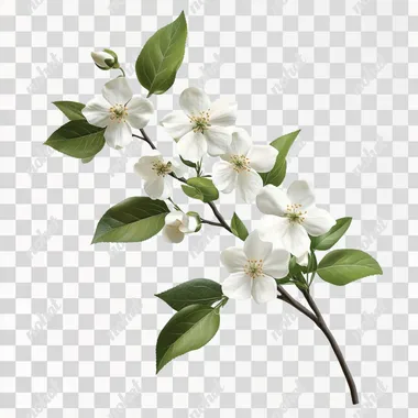 Delicate White Flower Branch on a Clean Canvas