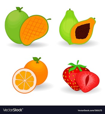 Delicious Fruit Set vector image