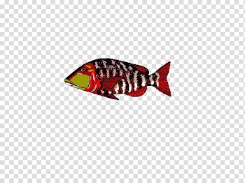 Delphi Database C++Builder Library Computer file, Colorful fish transparent background PNG clipart