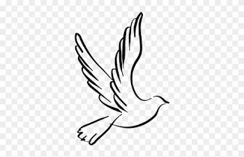Democratic Reform Party - Black And White Dove Png