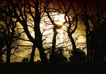 demondimum_020308_Arthurs_Seat_0051.