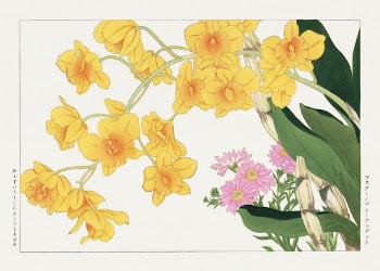 Dendobium Chbysotoxuum, Japanese woodblock art | Free Photo Illustration - rawpixel
