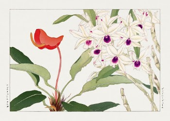 Dendobium flower, Japanese woodblock art | Free Photo Illustration - rawpixel