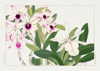 Dendobium woodblock painting by Tanigami | Free Photo Illustration - rawpixel