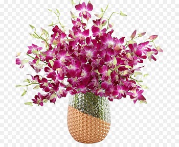 Dendrobium Orchids Flower Plant stem - Exquisite vase mounted Dendrobium flower bouquet 