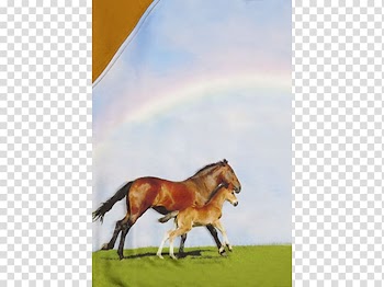 Denim Wide-leg jeans Mustang Foal Pony, others transparent background PNG clipart