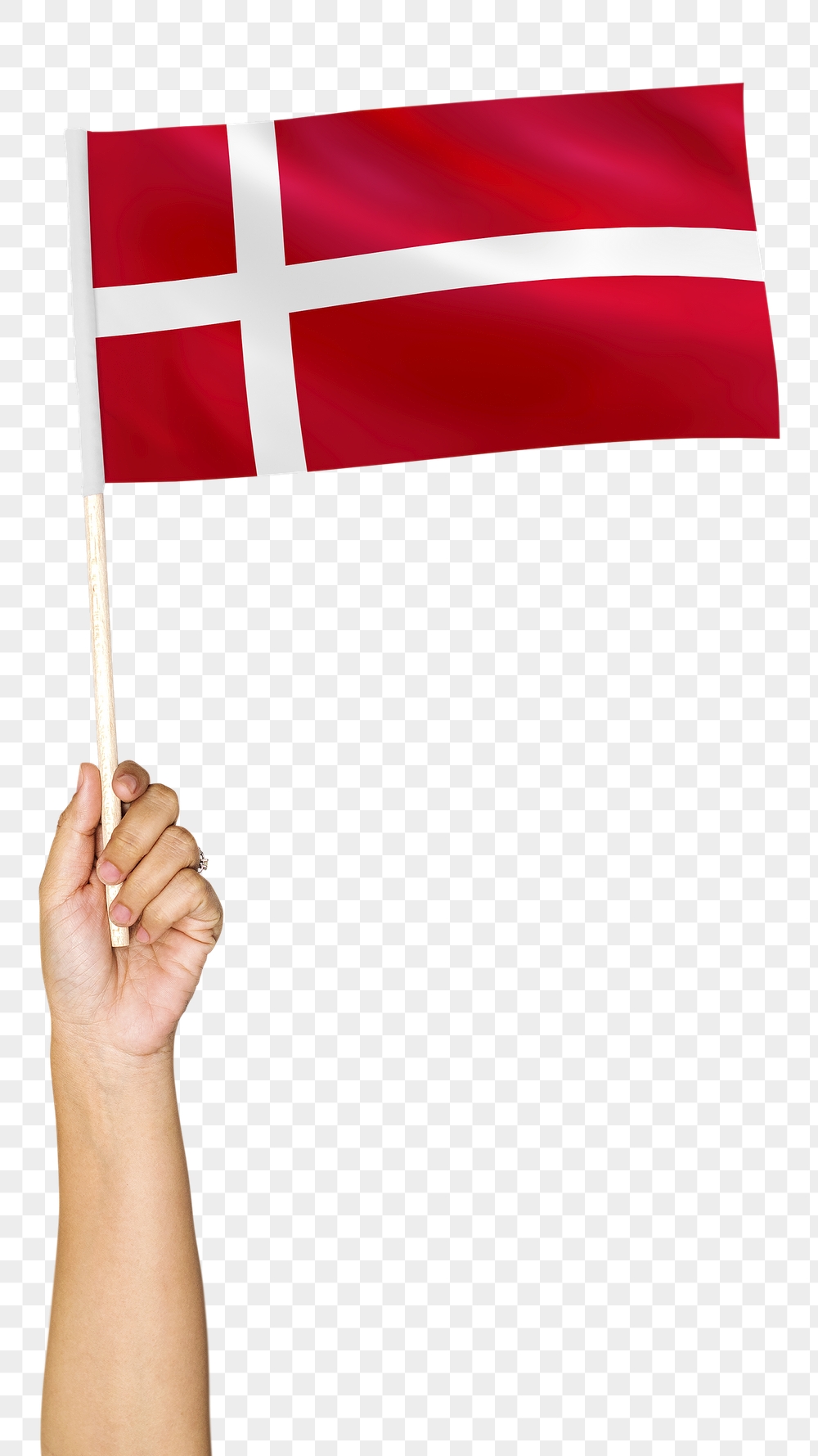 Denmark's flag png in hand | Free PNG - rawpixel