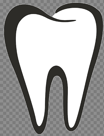 Dental clipart tooth outline, Dental tooth outline Transparent ...