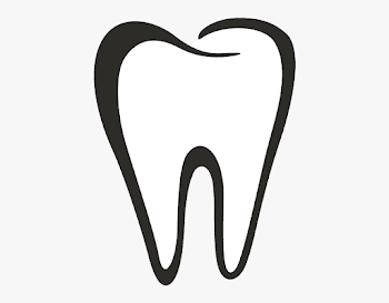 Dental Clipart Tooth Outline - Png Tooth Outline #104476 - Free ...