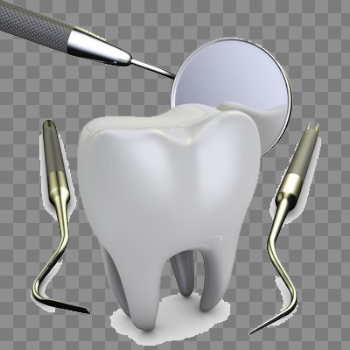 Dental Health PNG High-Quality Image
