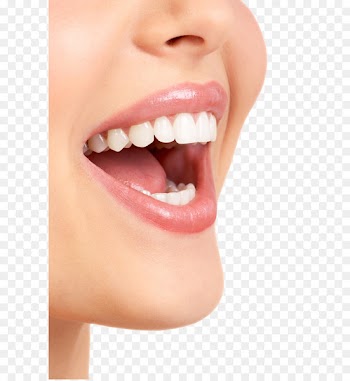 Dentistry Veneer Dental hygienist Crown - Teeth model 