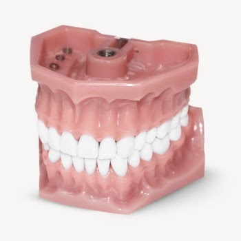Denture teeth collage element psd | Free PSD - rawpixel