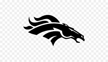 Denver Broncos NFL American football Detroit Lions Washington Redskins - denver broncos 