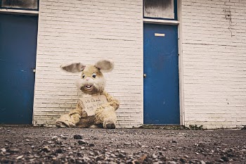 Depressed Street Bunny Free Photo 