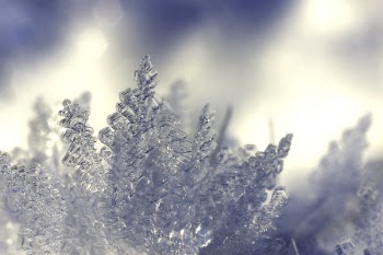 Depth of Field Photography of Ice Shards