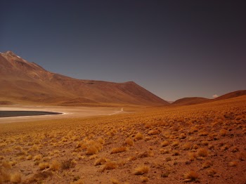 Desert
