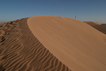 Desert