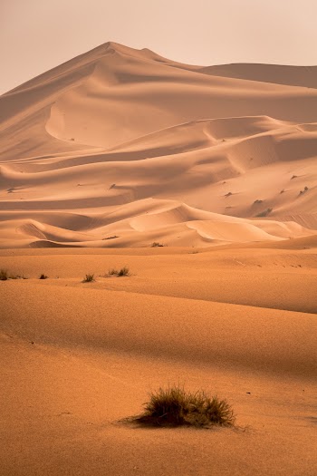 Desert