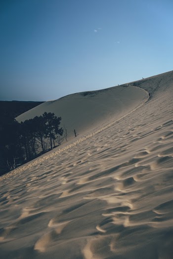 Desert