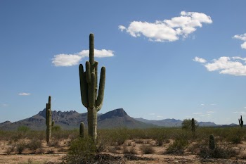 desert-082504-02.jpg
