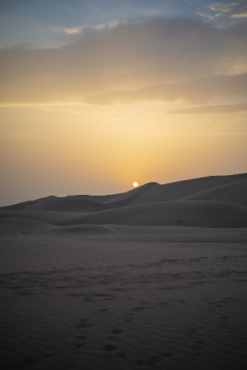 Desert at Sunset