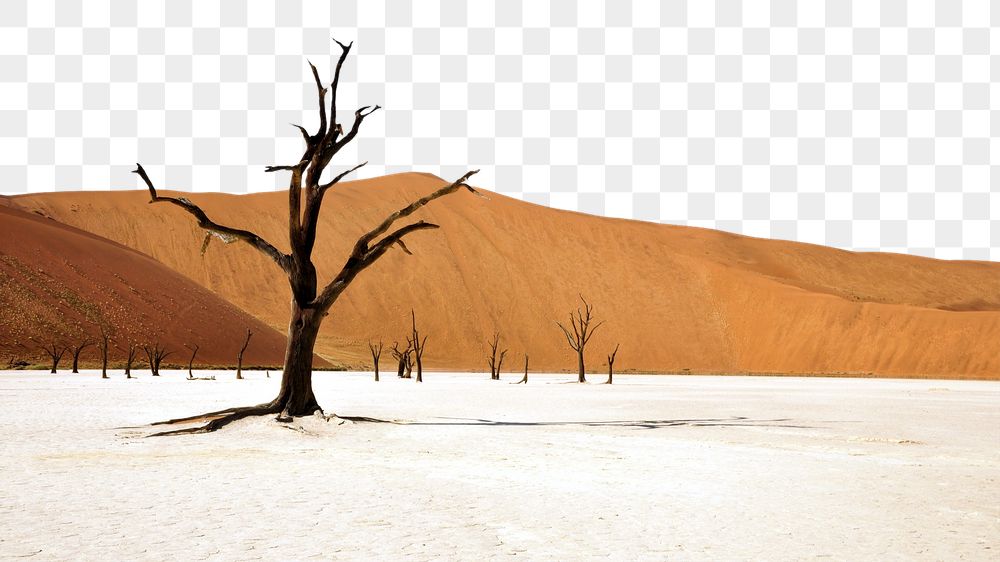 Desert border png, dead trees | Free PNG - rawpixel