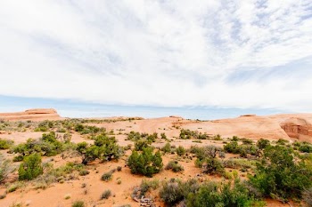 desert during daytime