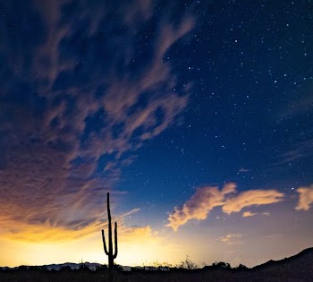 desert during nighttime