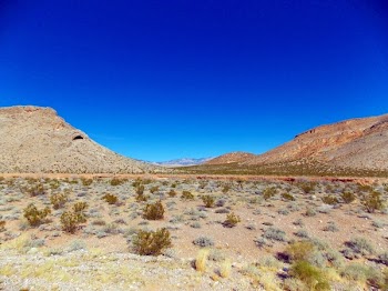 Desert Erg