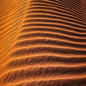 Desert Erg