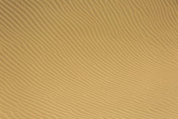 Desert Photo