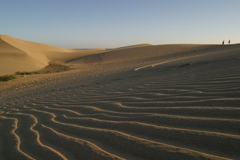 Desert Photography