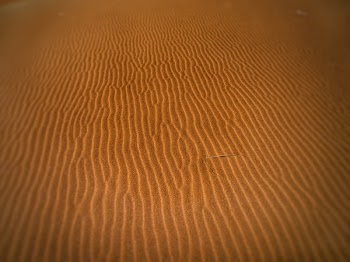 Desert Sand