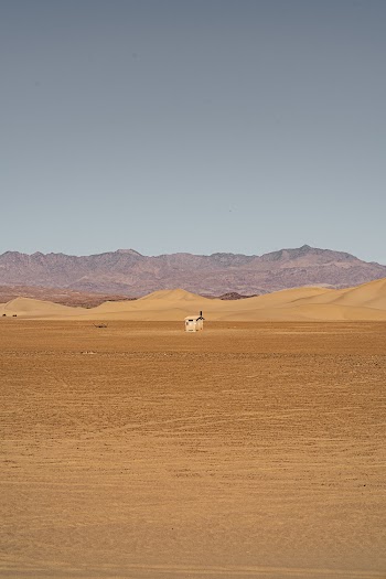 Desert Sand Landscape Photography