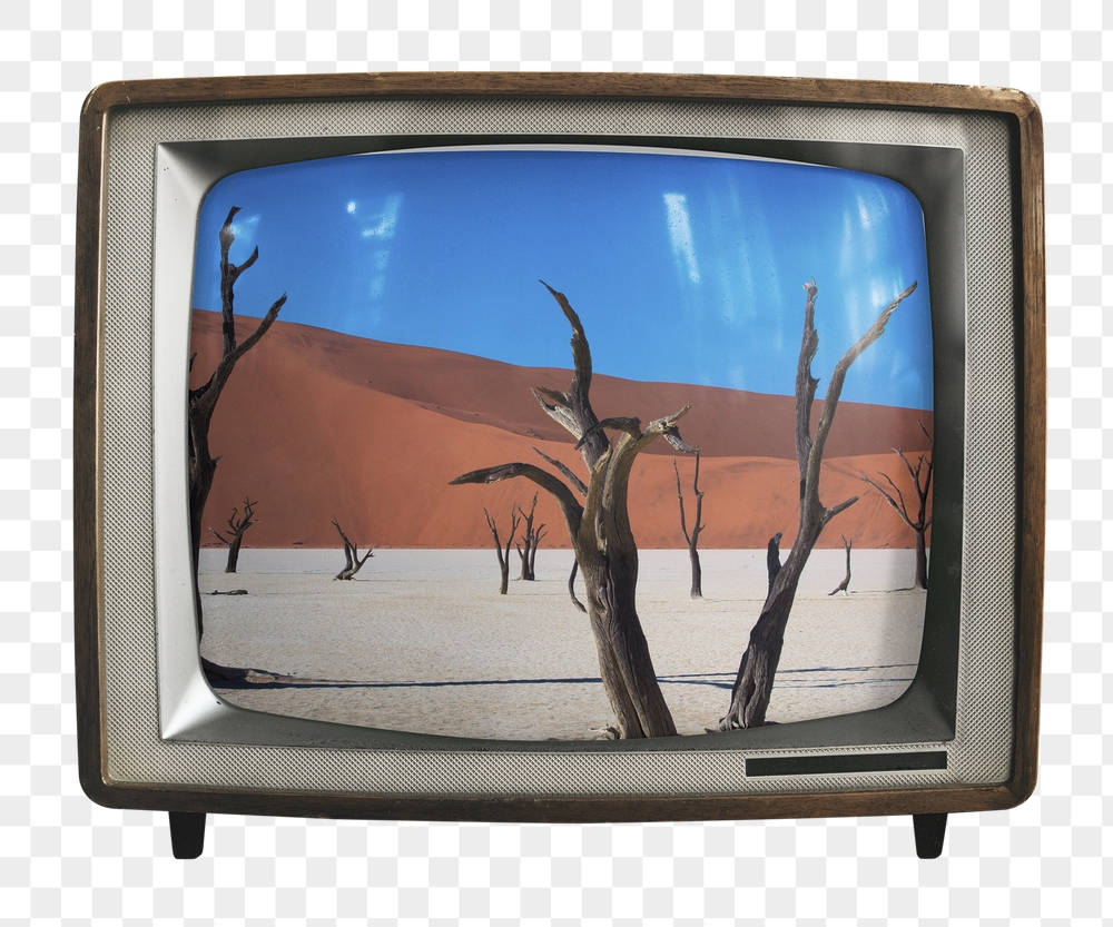 Desert trees png sticker, nature | Free PNG - rawpixel