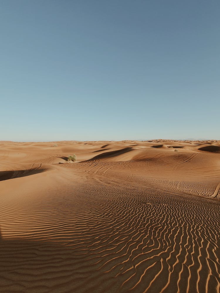 Desert Under Blue Sky