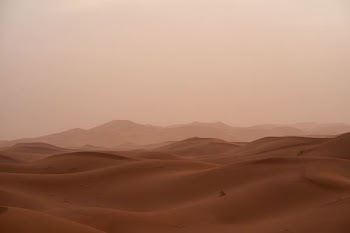 desert under white sky during daytime