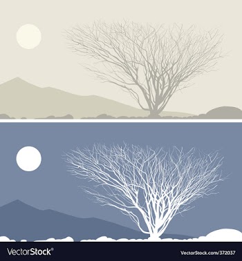 Desert vector image