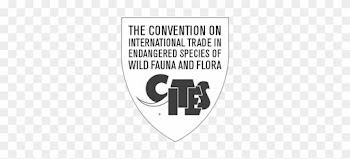 Design And Nature Is Supervised By The Washington Convention - Evolution Of Cites: A Reference Na And Flora