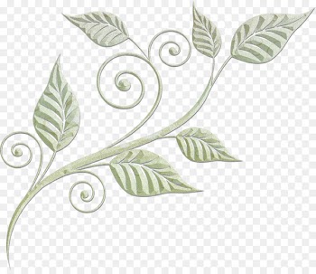 Design Decorative arts Vector graphics Drawing Ornament -  