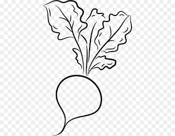 Design Drawing Portable Network Graphics Image Vegetable - cartoon vegetable 
