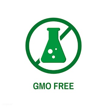 Design fmo food allergy | Free stock vector - 396017