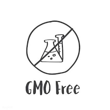 Design fmo food allergy | Free stock vector - 396089