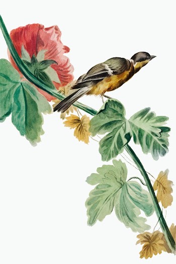 Design for a Woven Fabric (ca. 1775&ndash;1800) in high resolution. Original from The Smithsonian. Digitally enhanced by rawpixel.