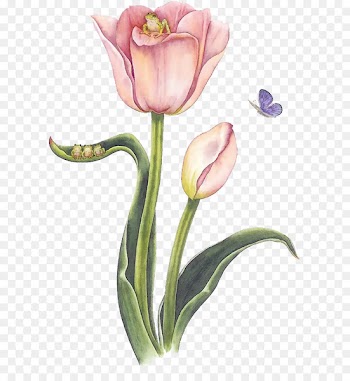 Design Sina Corp Blog Illustration Sina Weibo - adorable flower 