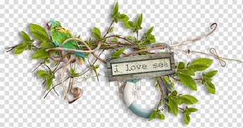 Designer Sea , I love the sea leaves transparent background PNG clipart